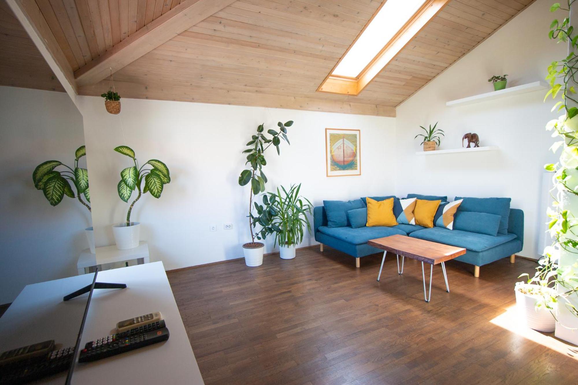 Bivalvia Apartments Koper Extérieur photo